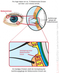 Lipo Nit Eye Doctor Augen-Wärme-Maske